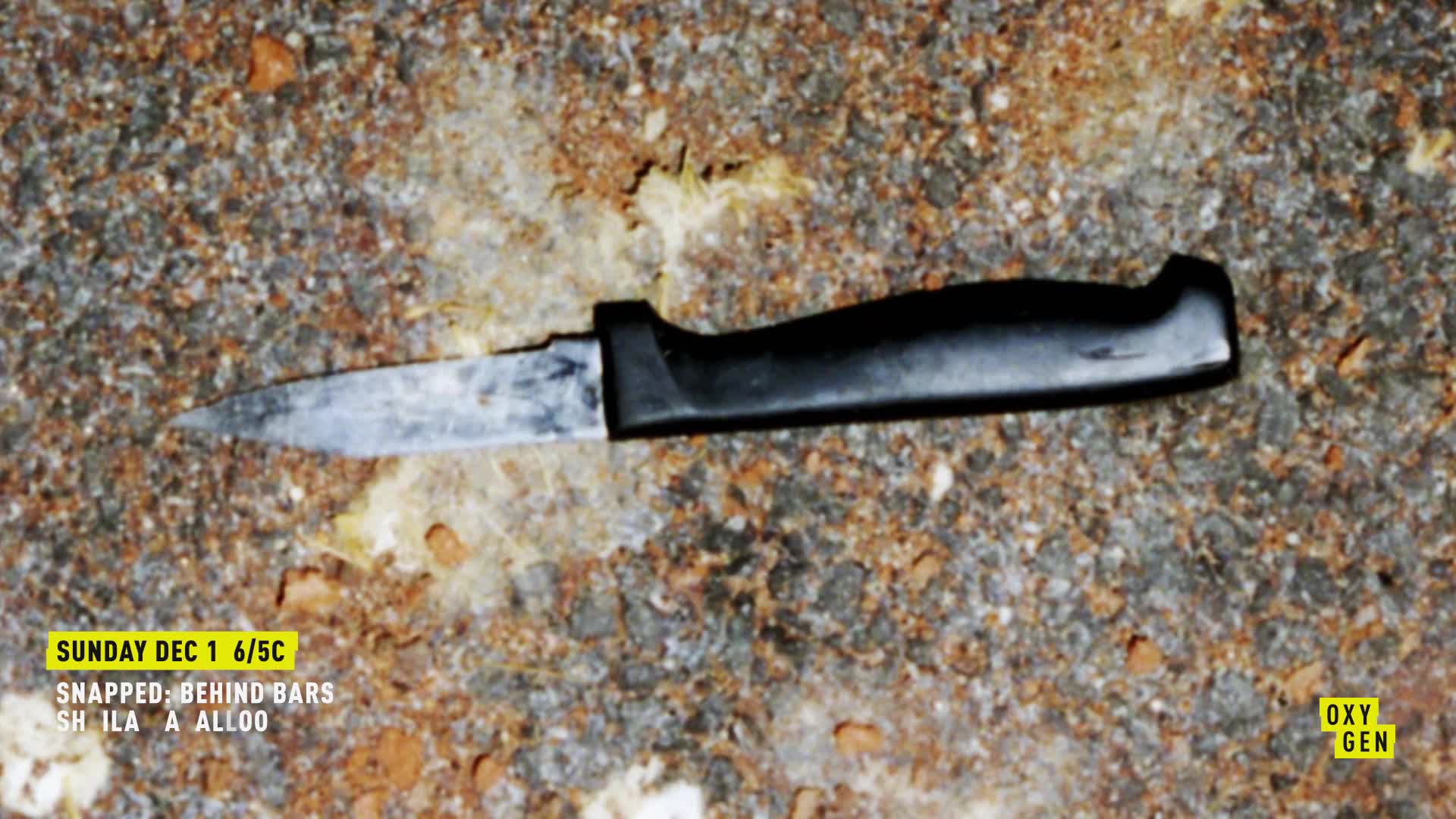 Snapped Behind Bars Sheila Davalloo (2019)